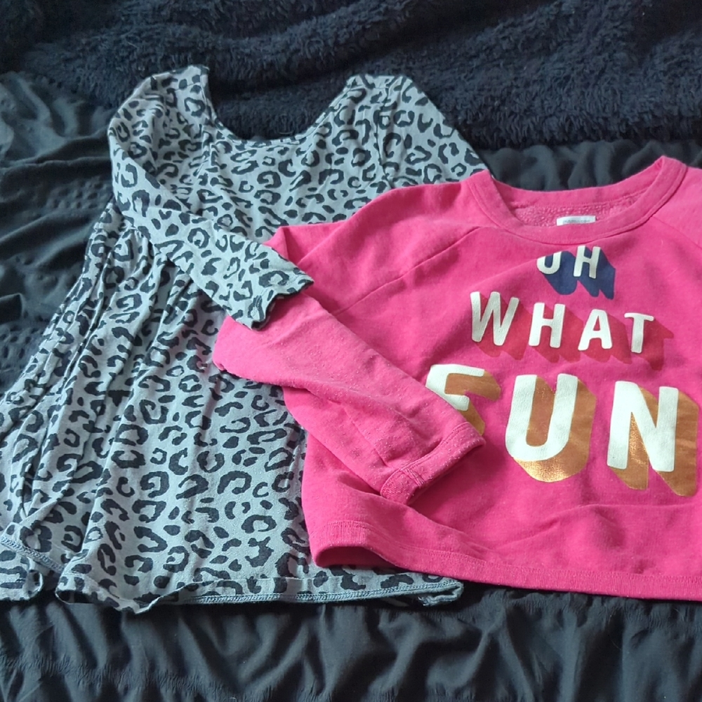 Gymboree Pink and Gray Kids Long Sleeve Shirt Set